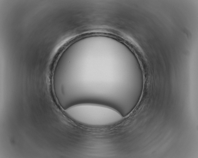 X0000113981360200910020940