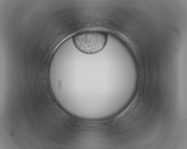X0000113981361200910020940