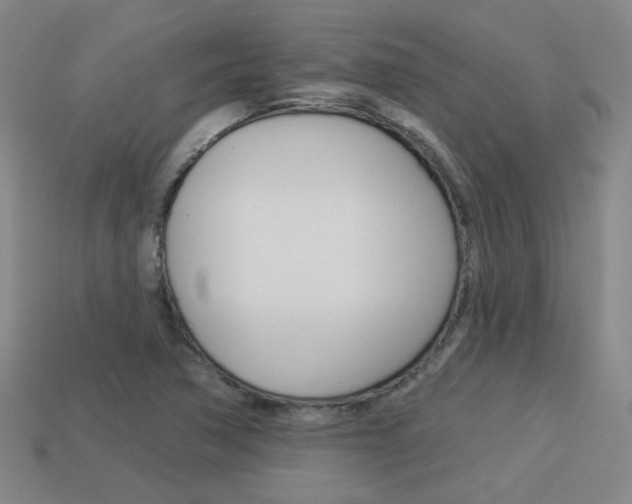 X0000113981362200910020940