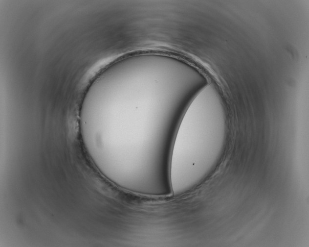 X0000113981363200910020940