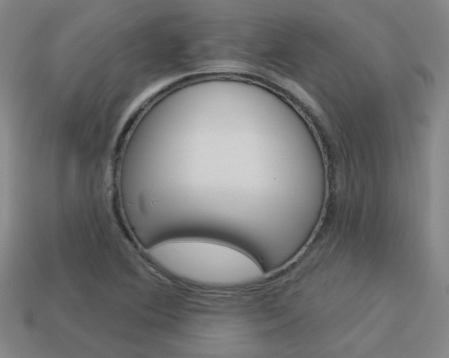 X0000113981364200910020940