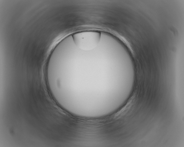 X0000113981365200910020940