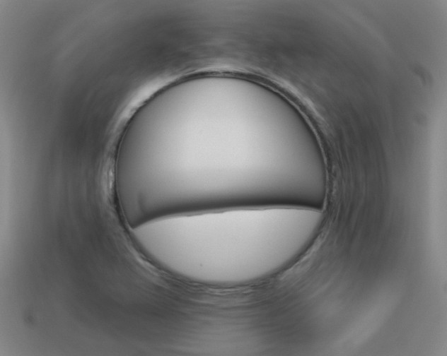 X0000113981367200910020940