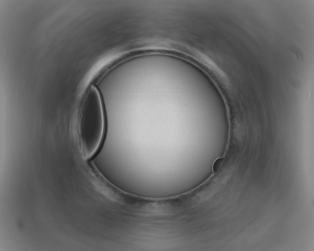 X0000113981368200910020940