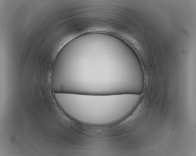 X0000113981369200910020940