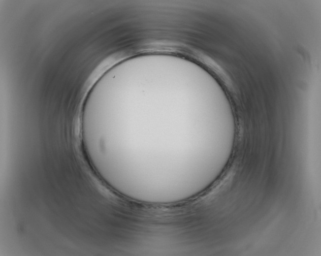X0000113981370200910020940