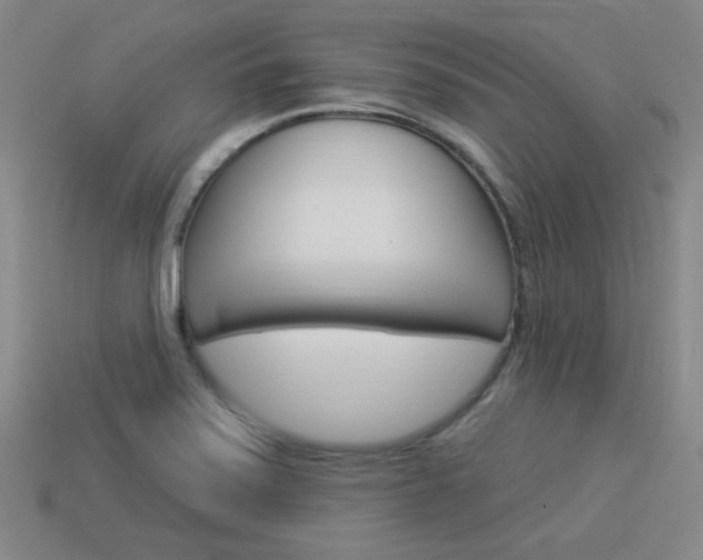 X0000113981371200910020940