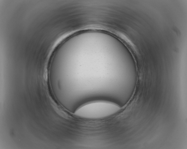 X0000113981372200910020940