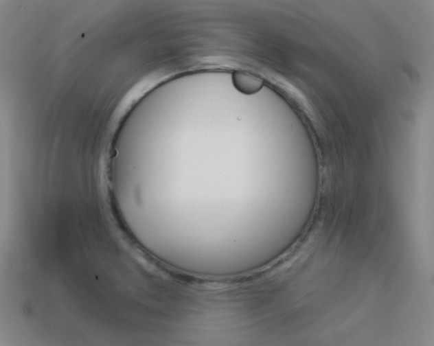 X0000113981373200910020940