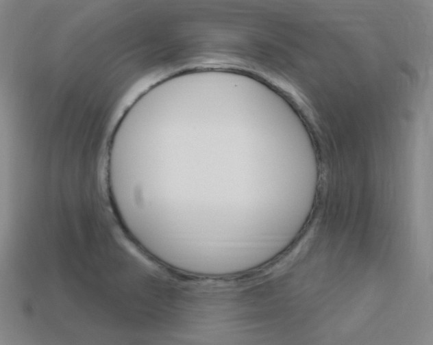 X0000113981374200910020940