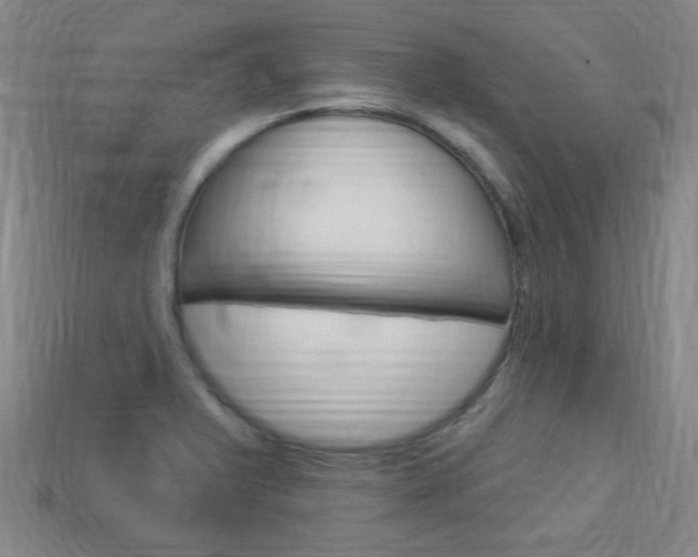 X0000113981375200910020940