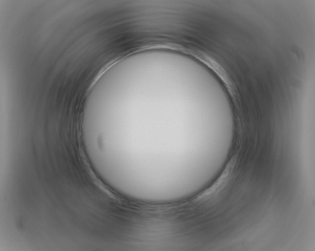 X0000113981377200910020940