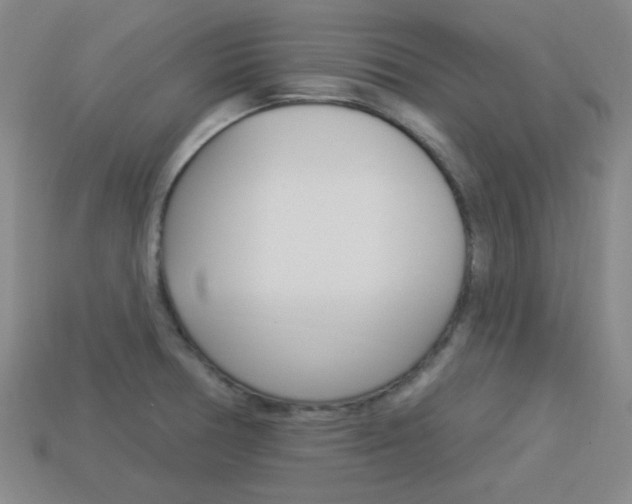 X0000113981378200910020940