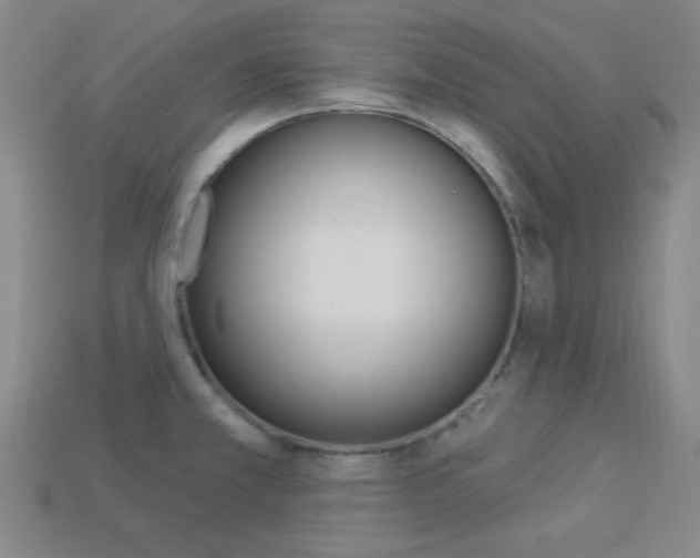X0000113981381200910020940