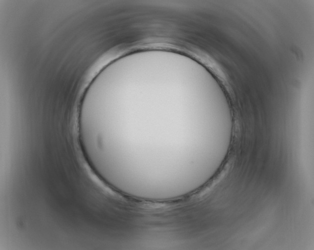 X0000113981382200910020940