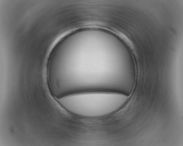 X0000113981384200910020940