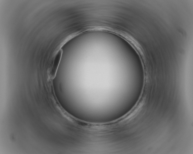 X0000113981385200910020940