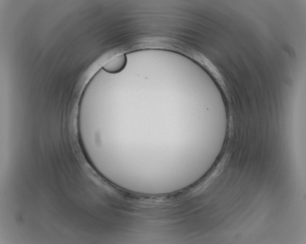 X0000113981386200910020940