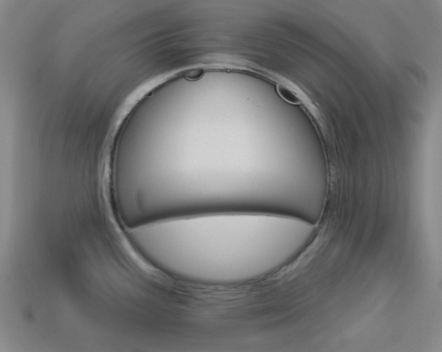 X0000113981387200910020940