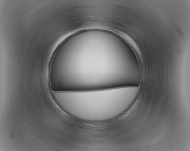 X0000113981388200910020940