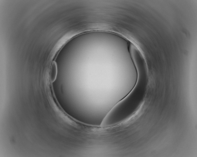 X0000113981389200910020940