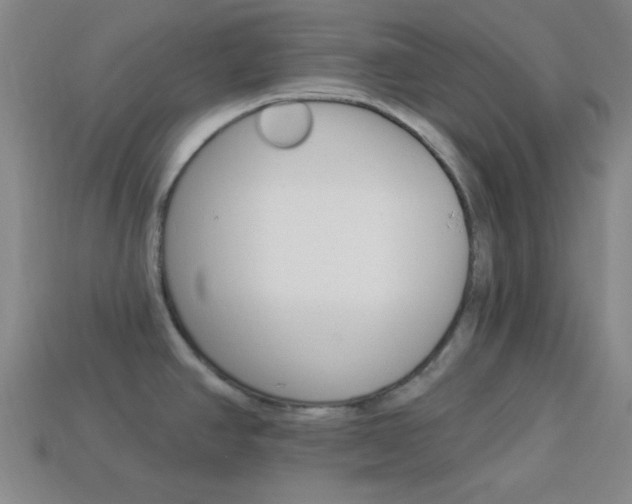X0000113981390200910020940