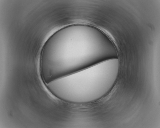 X0000113981391200910020940