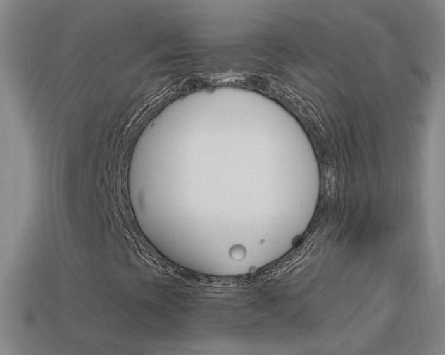 X0000113981393200910020939