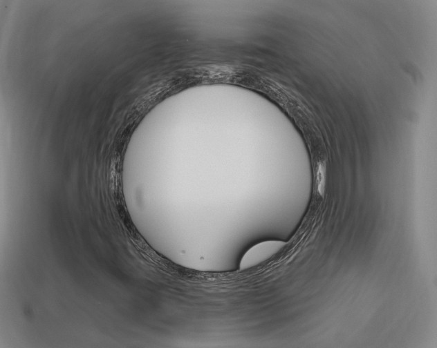 X0000113981395200910020939