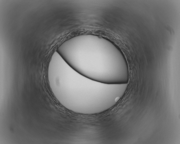 X0000113981397200910020939