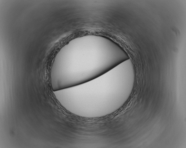 X0000113981398200910020939
