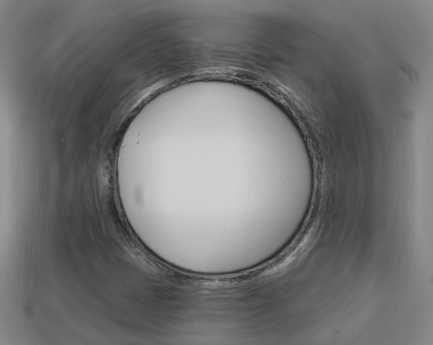 X0000113981401200910020939