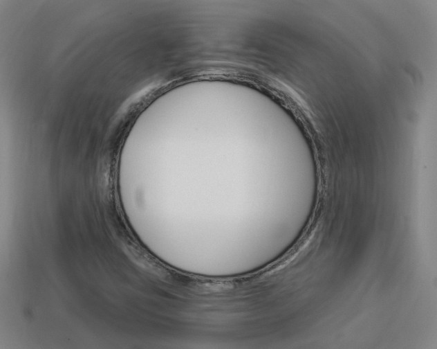 X0000113981403200910020939
