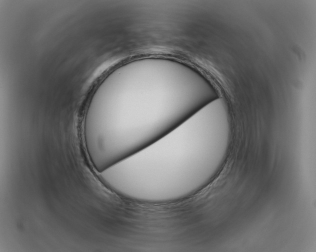X0000113981404200910020939