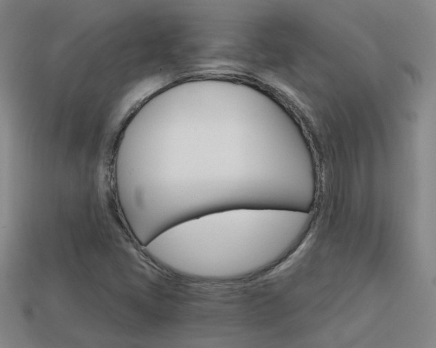 X0000113981405200910020939