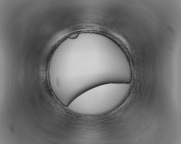 X0000113981407200910020939