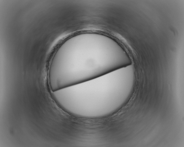 X0000113981408200910020939