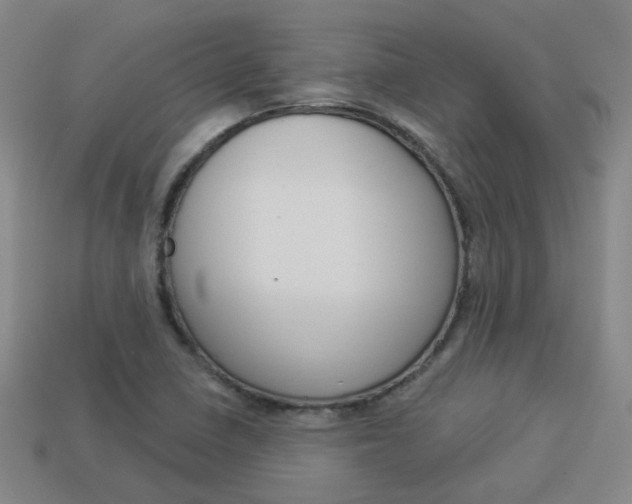 X0000113981410200910020939