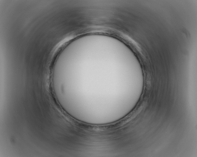 X0000113981411200910020939