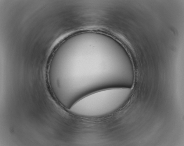X0000113981412200910020939