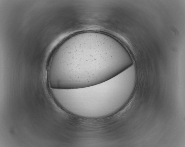 X0000113981414200910020939