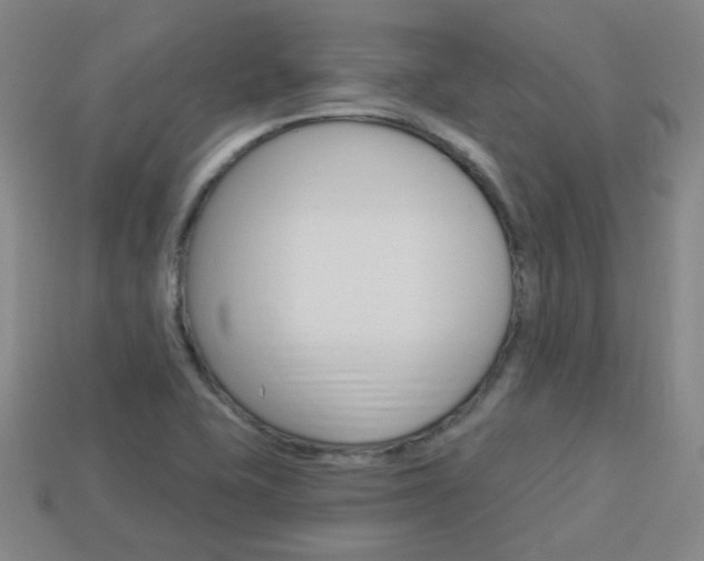 X0000113981415200910020939
