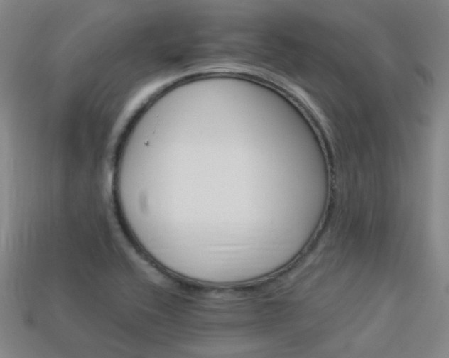 X0000113981416200910020939