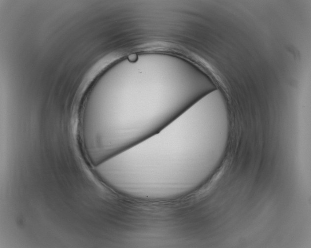 X0000113981418200910020939