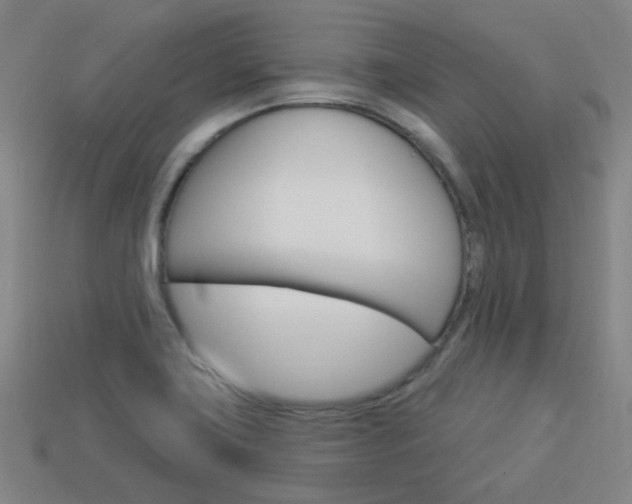 X0000113981419200910020939