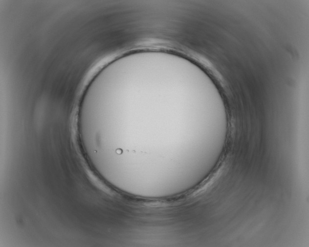 X0000113981421200910020939