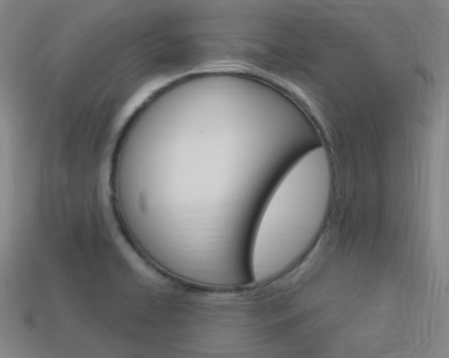 X0000113981422200910020939