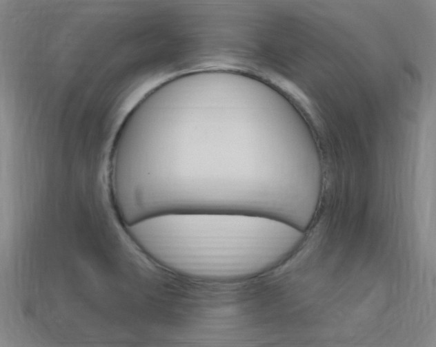 X0000113981423200910020939