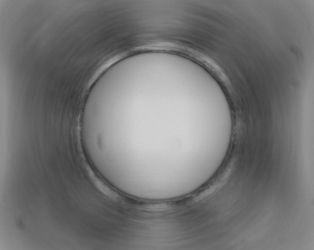X0000113981425200910020939