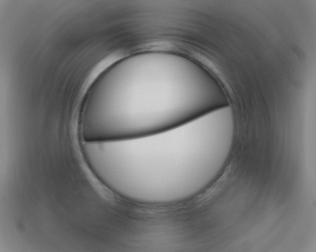 X0000113981426200910020939